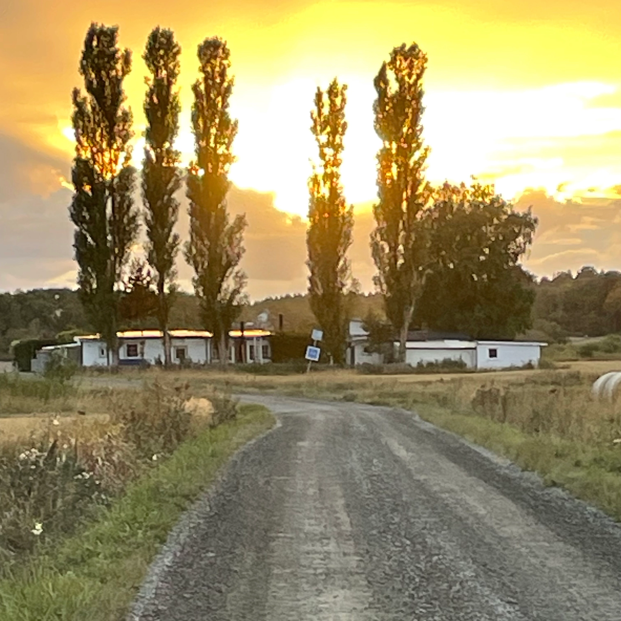 Tumbo Sofieborg