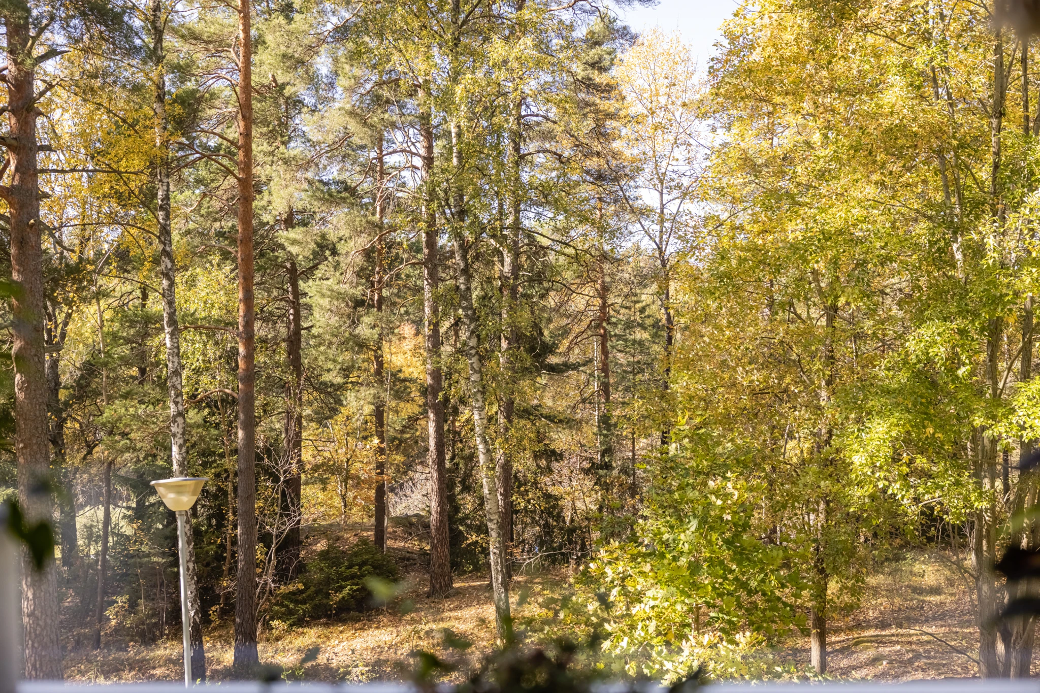 Bild nr 3