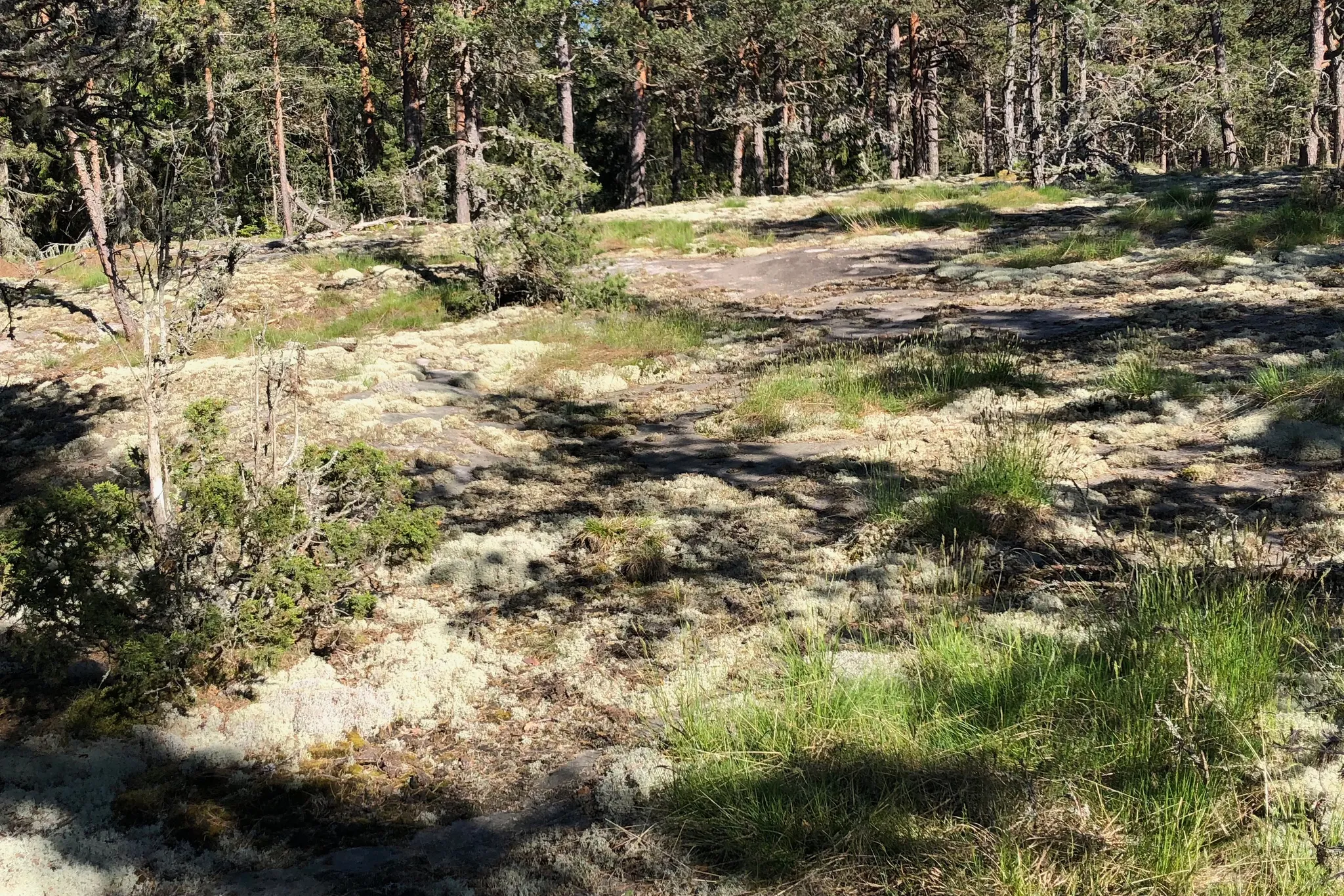 First image of Tranviksvägen