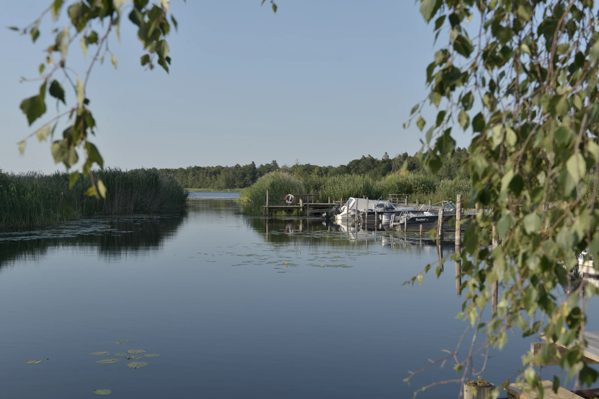 Bild nr 3
