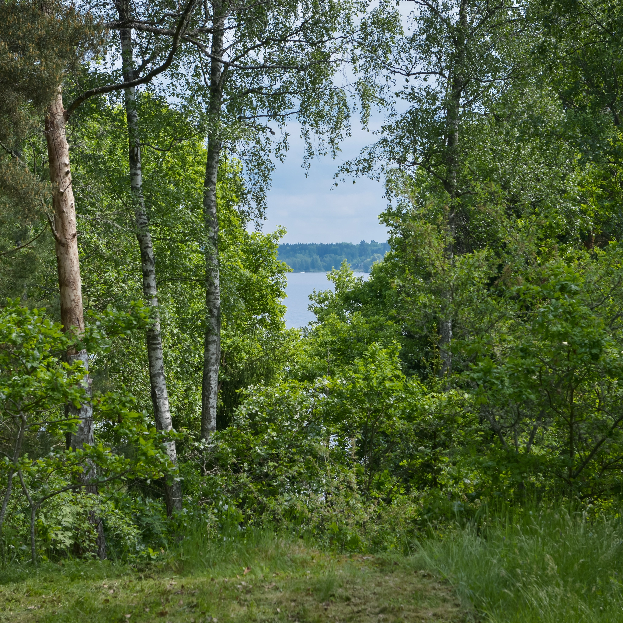 Rasholmsvägen 51