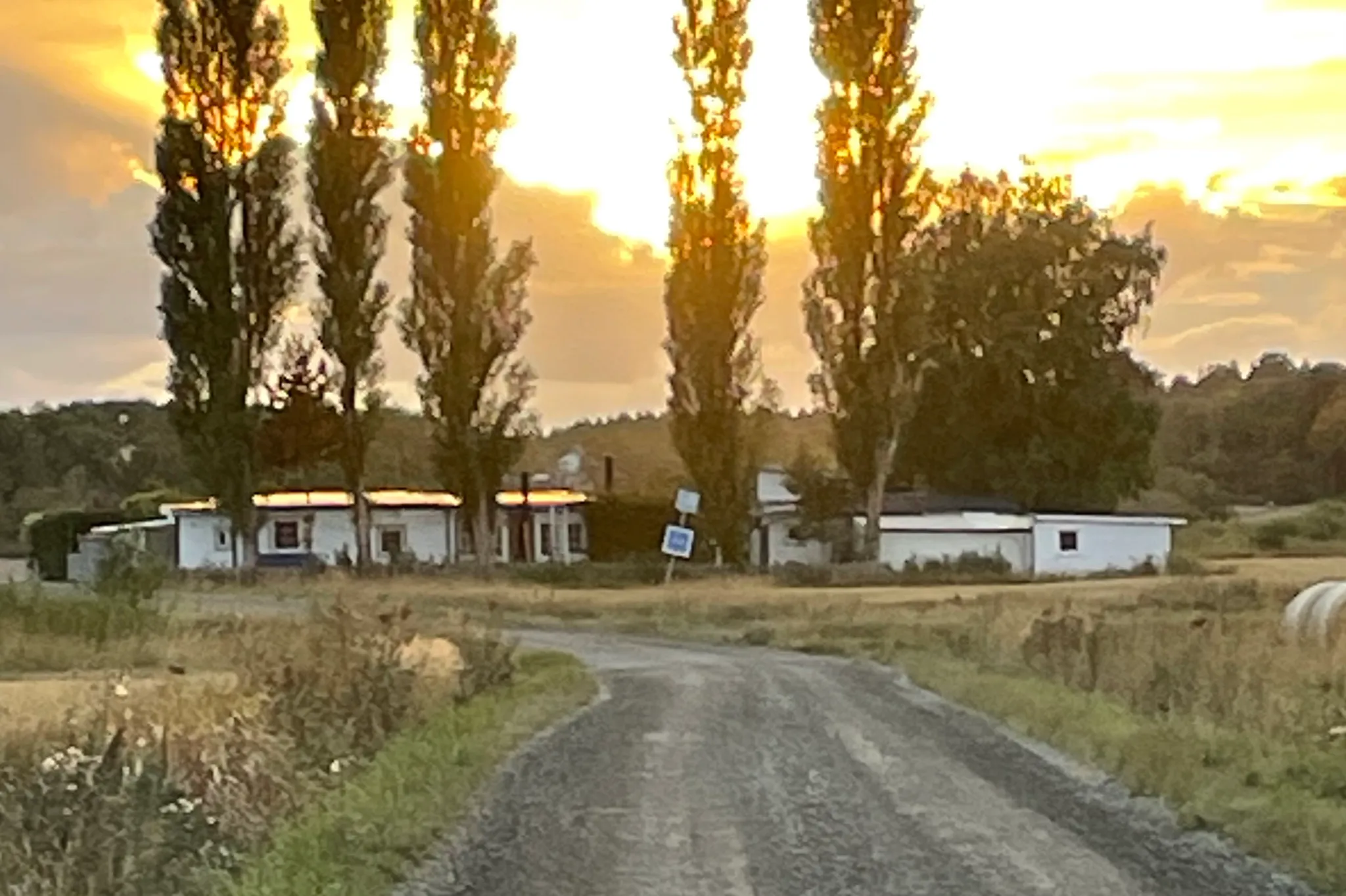 First image of Tumbo Sofieborg